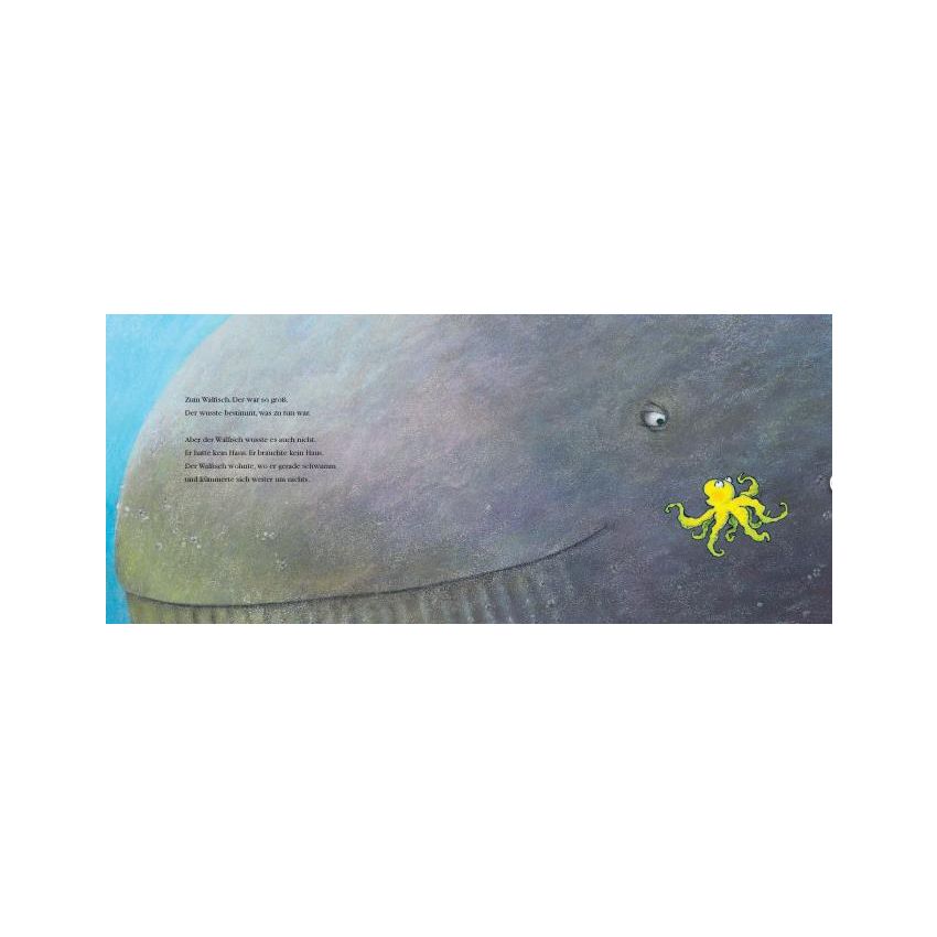 aracari Verlag - Oh, oh... Oktopus