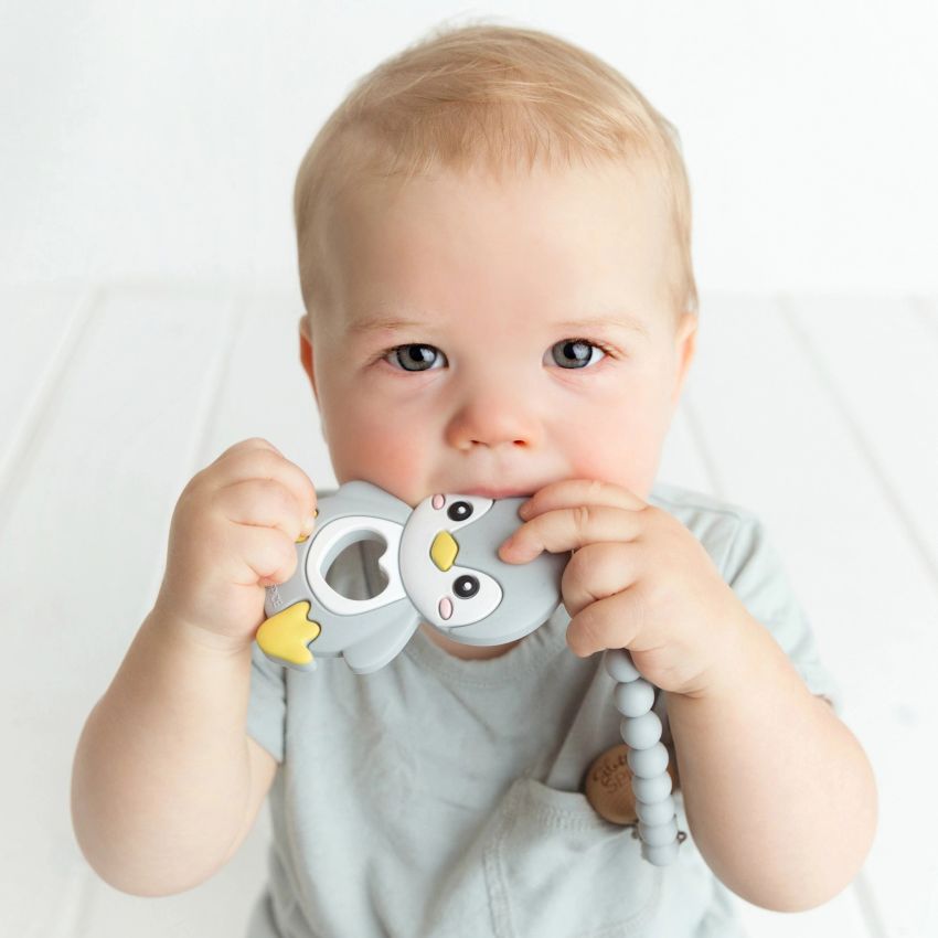 Glitter & Spice - Kaukette Pinguin grau