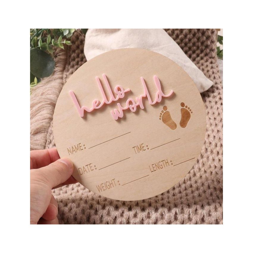 Holz Schild Hello World pink