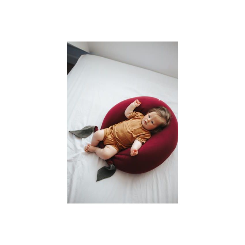 Thats mine - Stillkissen- Sitzsack 2 in 1 Plum