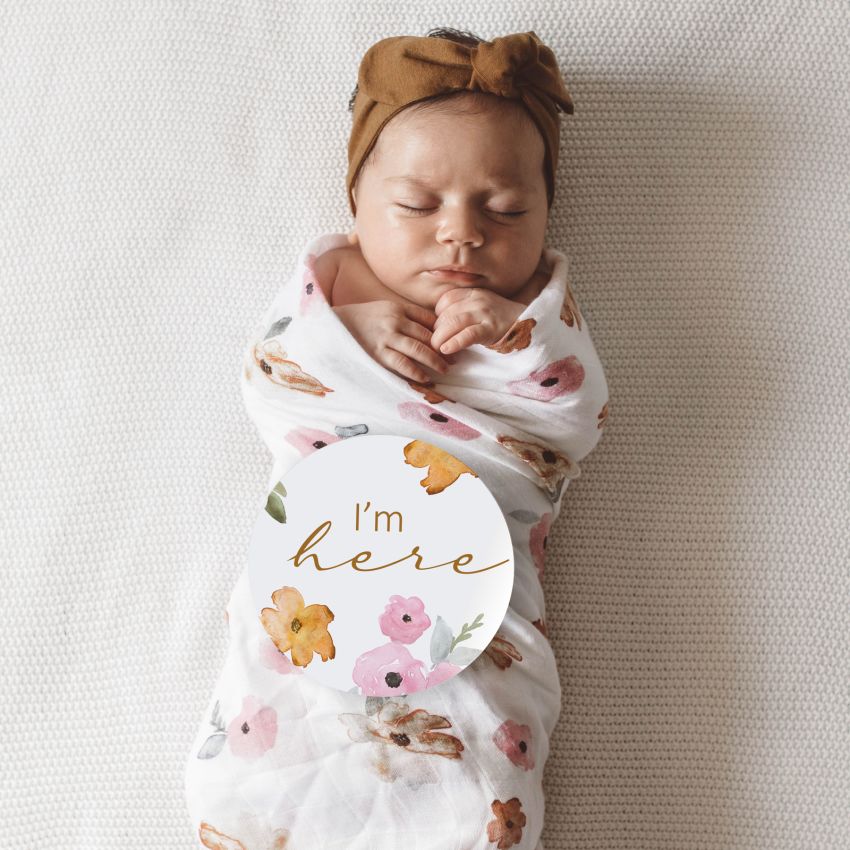 Snuggle Hunny - Meilenstein Karten Poppy & Musk Pink