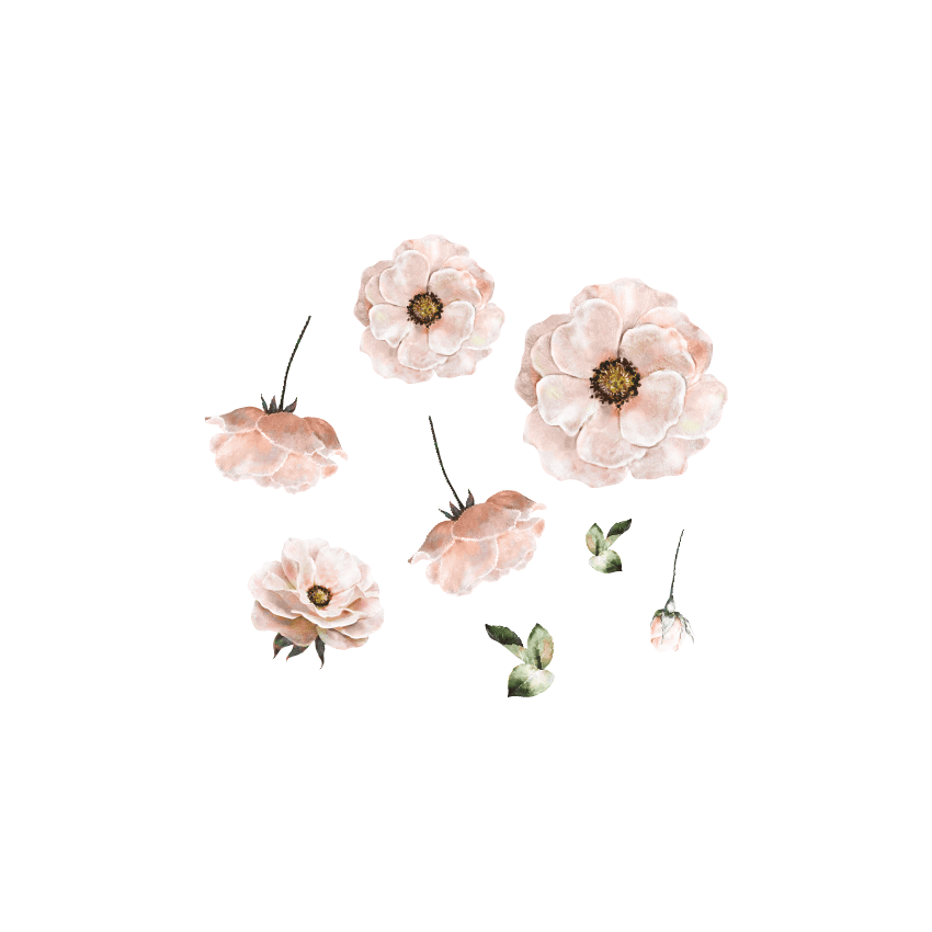 Thats mine - Wandsticker Poppy Flower Rose