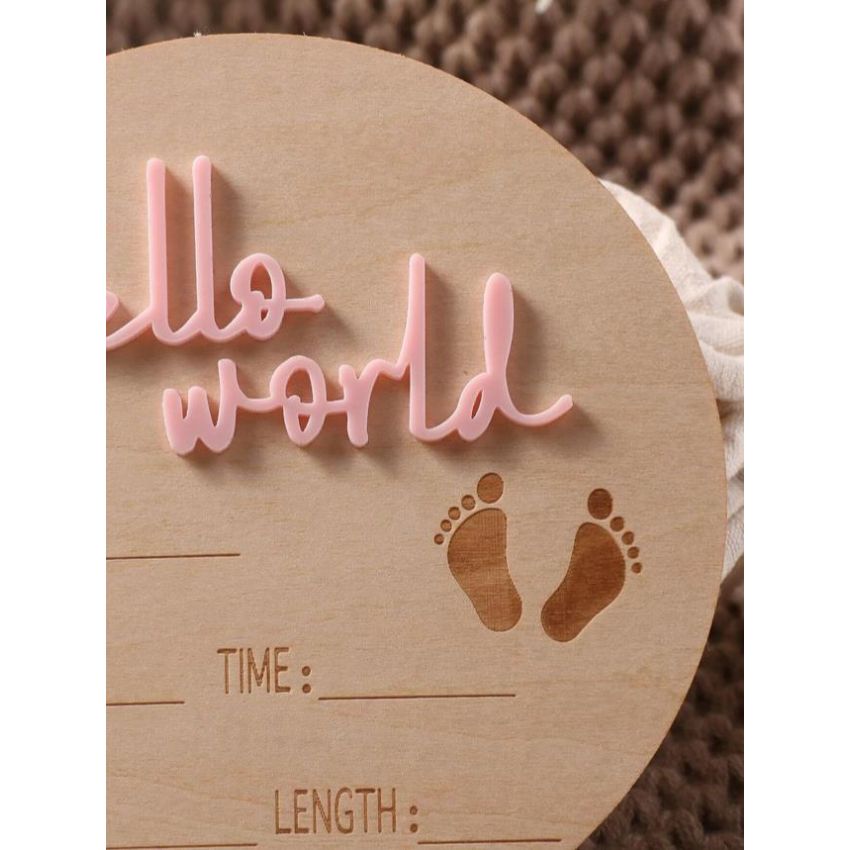 Holz Schild Hello World pink