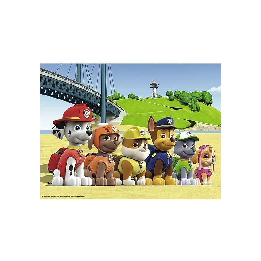 Paw Patrol Klötzchen Puzzle