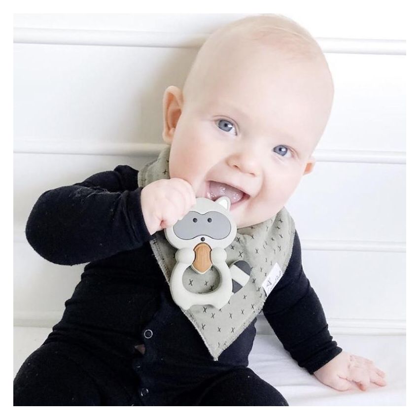 Glitter & Spice - Kaukette Waschbär mit Nuss