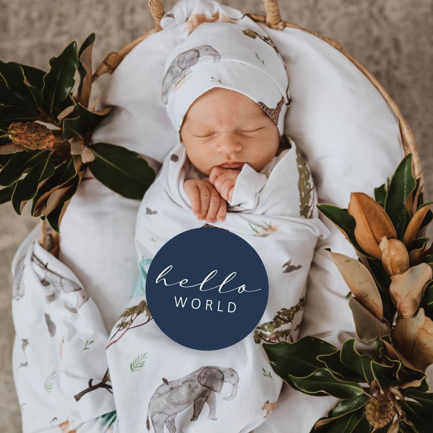 Snuggle Hunny - Meilenstein Karten Safari & Navy