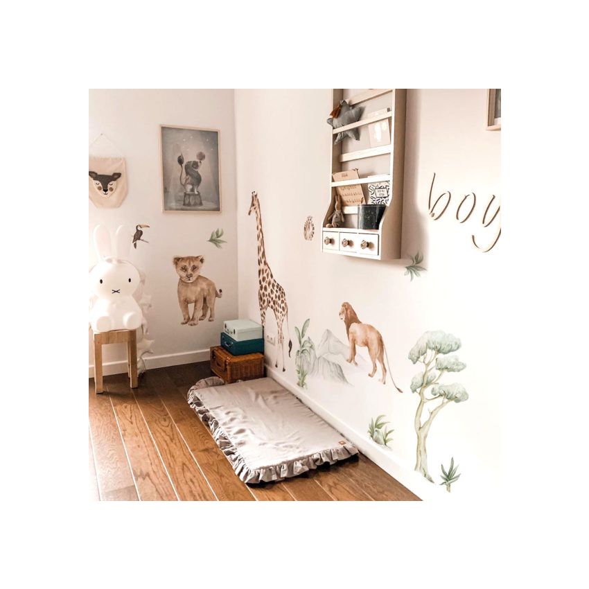 Dekornik - Savanna Botanics Plants