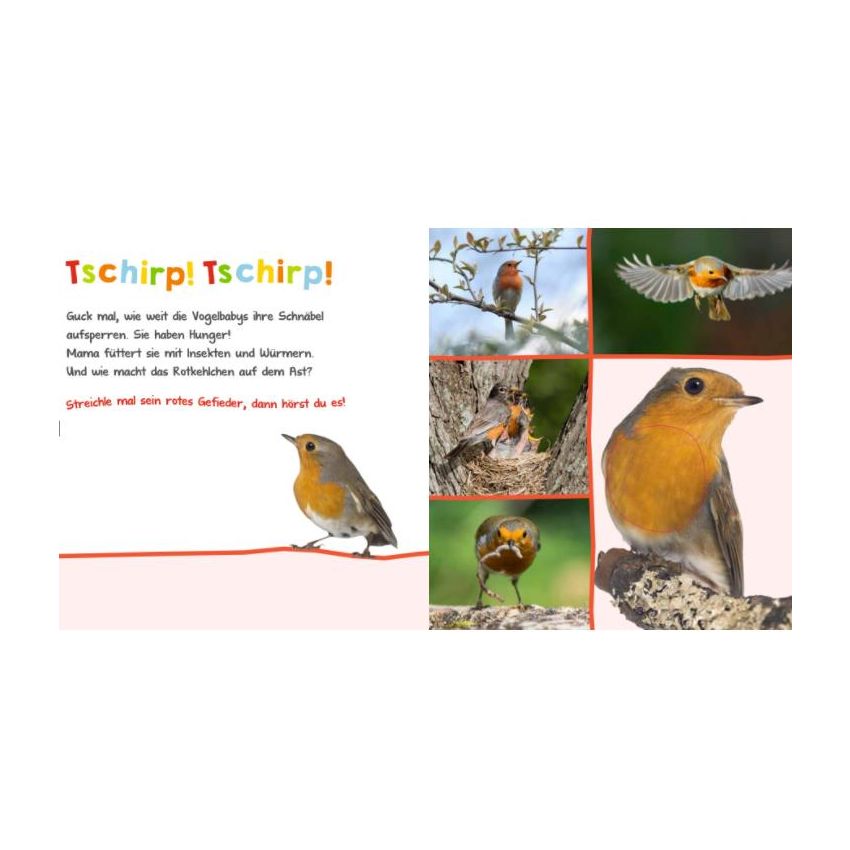 arsEdition - Hör mal rein, wer kann das sein? In der Natur