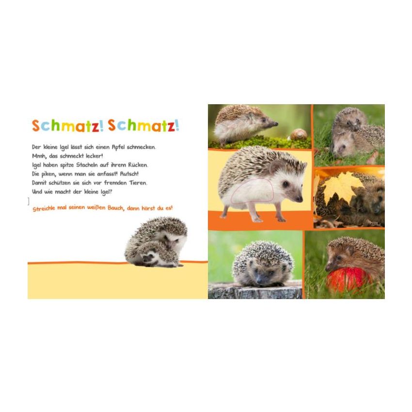 arsEdition - Hör mal rein, wer kann das sein? In der Natur