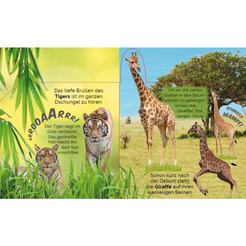 Parragon Verlag - Soundbuch Tiere im Zoo
