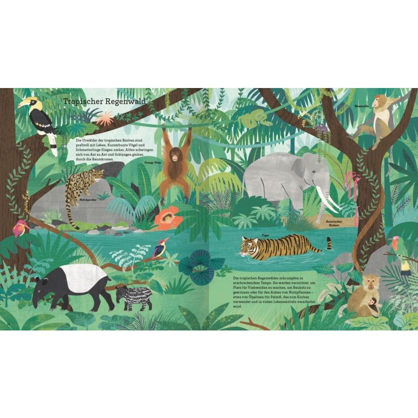 arsEdition - Wale retten, Igeln helfen, Erde schützen