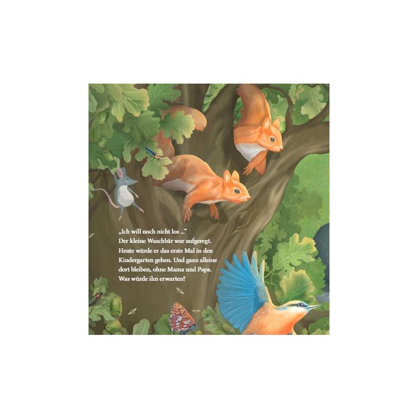 bene! Verlag - Der kleine Waschbär traut sich was