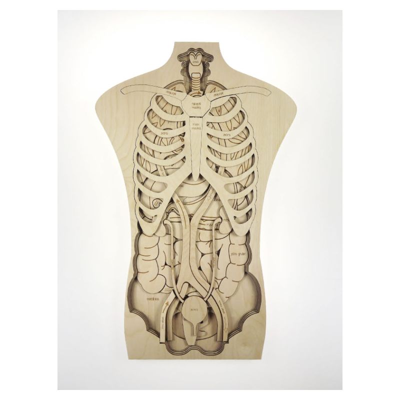 Stuka Puka - Holz Anatomie Puzzle "Was ist in meinem Körper" (deutsch)