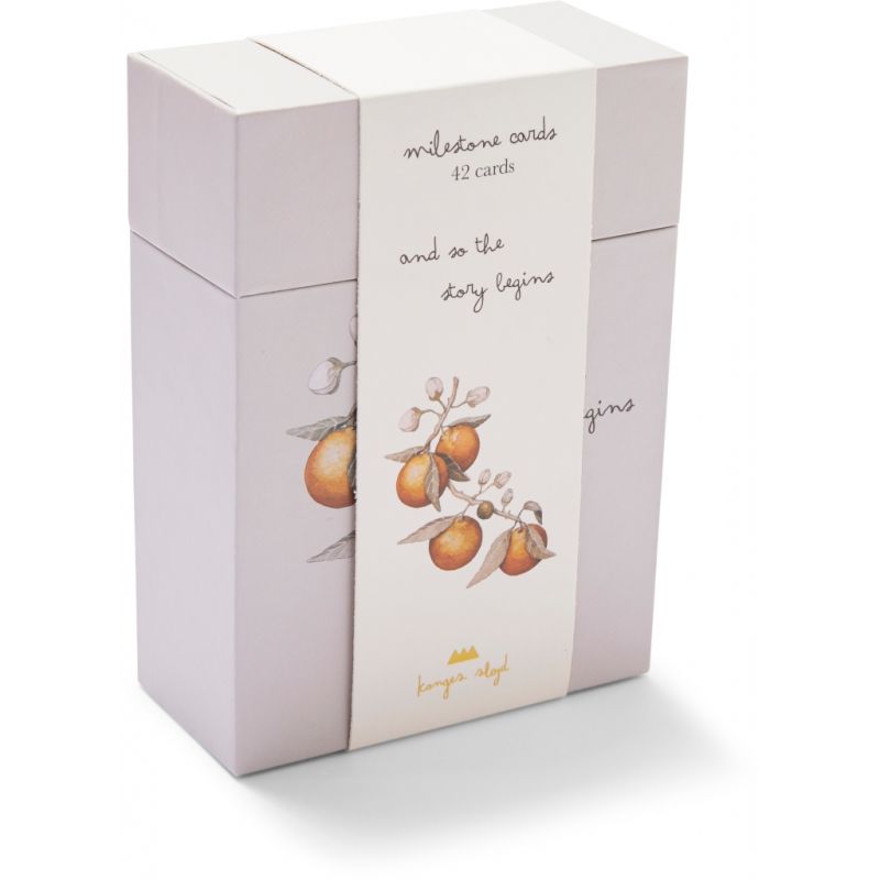 Konges Sløjd - Meilensteinkarten