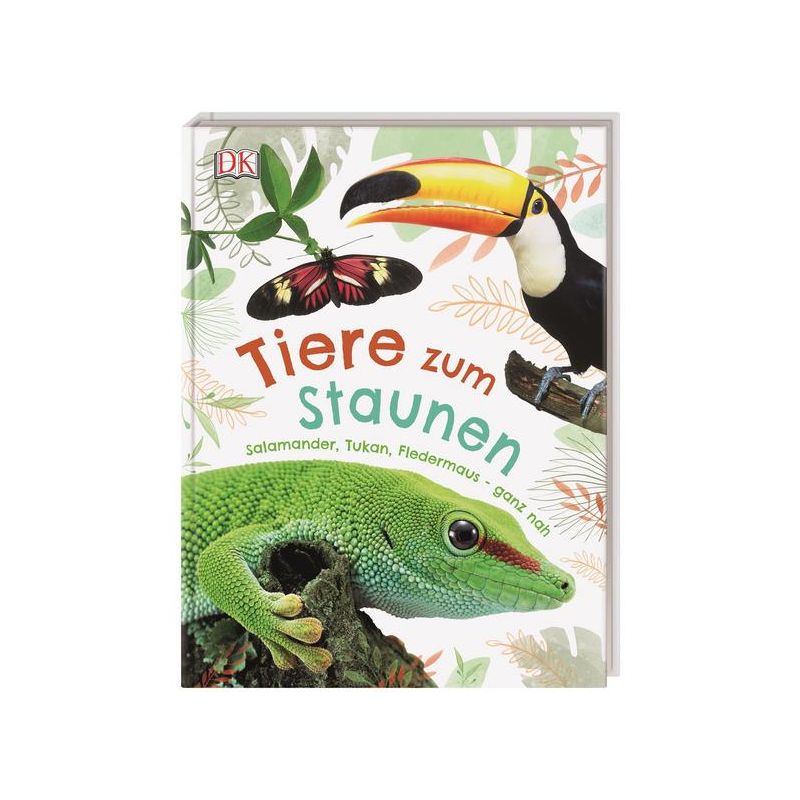 Dorling Kindersley - Tiere zum Staunen Salamander, Tukan, Fledermaus - ganz nah