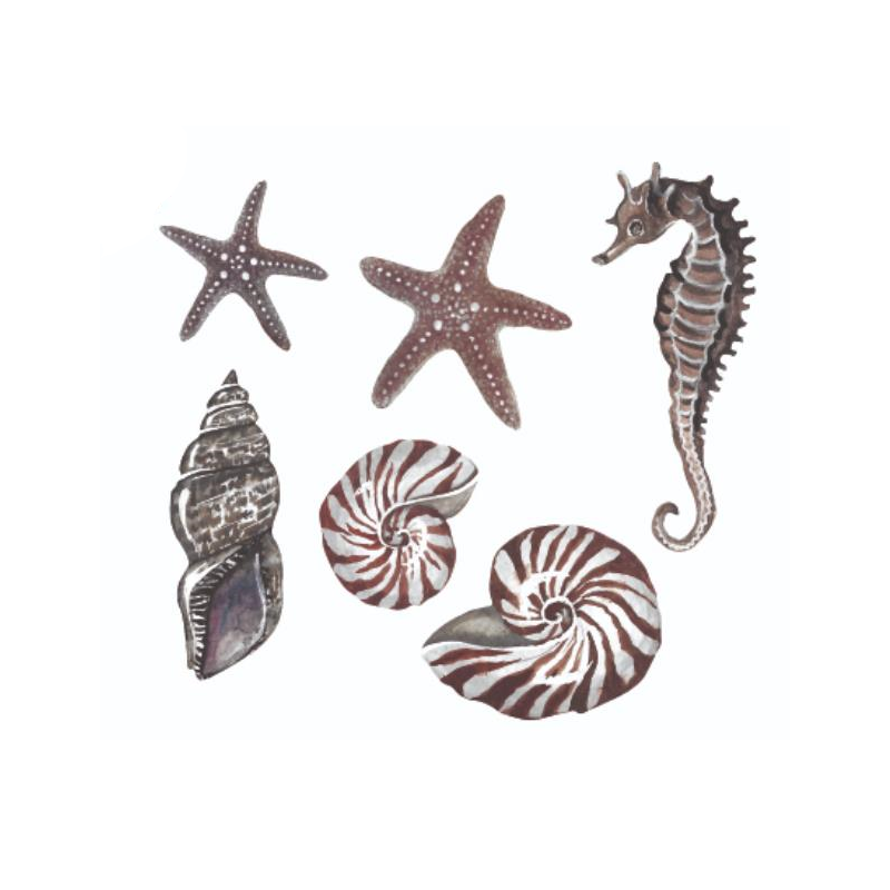 Thats mine - Wandsticker Underwater Friends Muscheln