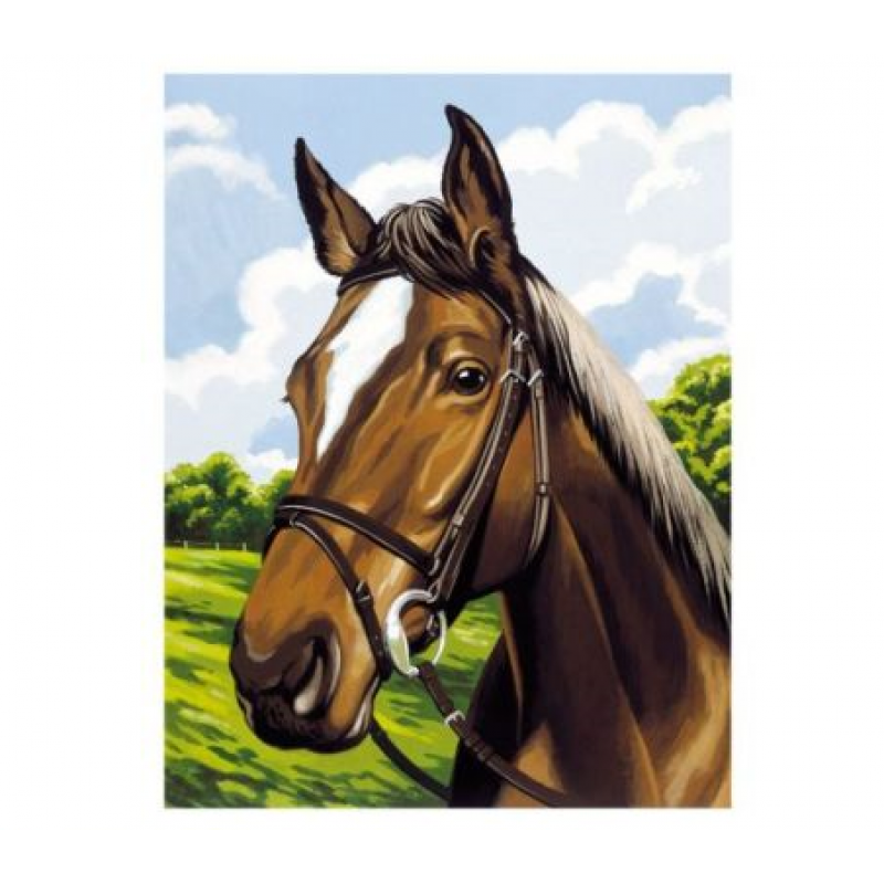 Mammut - Malen nach Zahlen, Pferdeporträt