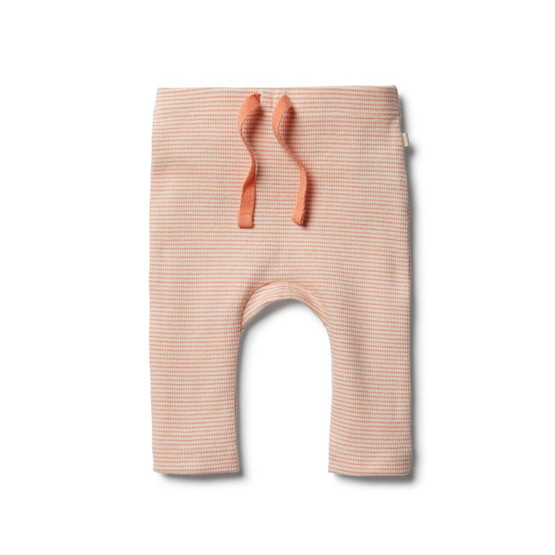 wilson & frenchy - Organic Desert Flower Legging