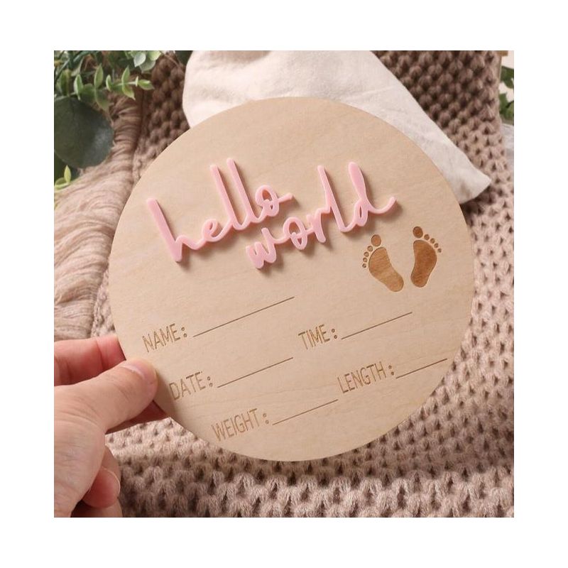 Holz Schild Hello World pink