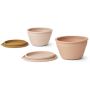 LIEWOOD - Faltbares Schalenset Dale Rose Multi Mix