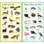 Usborne Verlag - 199 Tiere