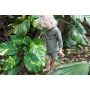 Beach & Bandits - UV Badeoverall Baby Ribbed Palm Olive