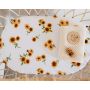 Snuggle Hunny - Spannbezug für Wiege, Kinderwagen & Wickelmatte Sunflower