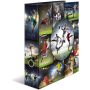 Motiv-Ordner A4 Football