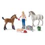 Schleich 42486 Farm World - Arztbesuch bei Stute und Fohlen
