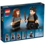 LEGO® Harry Potter 76393 - Harry Potter & Hermine Granger