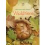 Usborne Verlag - Mein erstes Natur-Wissen: Waldtiere