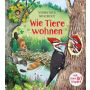 Usborne Verlag - Naturwissen aufgedeckt! Wie Tiere wohnen (Mit über 80 Klappen)