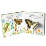 Dorling Kindersley - Wie wird die Raupe zum Schmetterling?