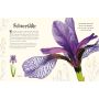 Dorling Kindersley - Wundervolle Welt der Natur
