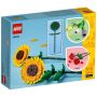 LEGO® 40524 - Sonnenblumen
