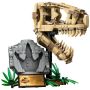 LEGO® Jurassic World™ 76964 - Dinosaurier-Fossilien: T.-rex-Kopf