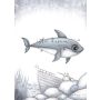 Isla Dream Prints - Poster Brutus der Hai