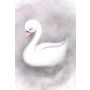 Isla Dream Prints - Poster Angel Schwan smoky grau