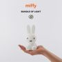 Mr. Maria - Nachtlicht Mini Miffy Bundle of Light