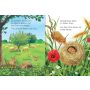 Usborne Verlag - Mein erstes Natur-Wissen: Die Jahreszeiten
