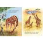 Usborne Verlag - Mein erstes Natur-Wissen: Tierkinder