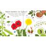 Usborne Verlag - Erstes Aufklappen und Verstehen: Warum blühen Blumen?