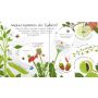 Usborne Verlag - Erstes Aufklappen und Verstehen: Warum blühen Blumen?