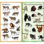 Usborne Verlag - 199 Tiere im Zoo