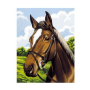 Mammut - Malen nach Zahlen, Pferdeporträt