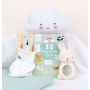 A Little Lovely Company - Baby Geschenkbox 