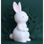 A Little Lovely Company - Nachtlampe Bunny