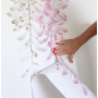 Little Rae Prints - Wandsticker Wisteria rosa 1/2 Set